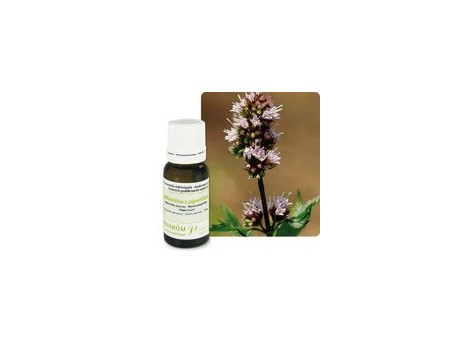 Pranarom Aceite Esencial Bio Menta Piperita 5ml.