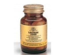 Solgar Lactasa 3500 vainilla 30 comprimidos masticables.