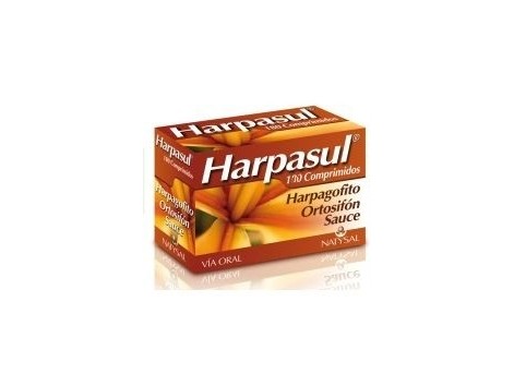 Natysal Harpasul (devil's claw, Ortosifón) 120 capsules.