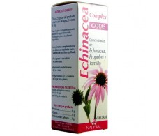 Natysal drops Echinacea Complex 50 ml.