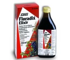 Floradix Eisen 250ml. Salus.