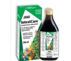 Intesticare 250ml Salus