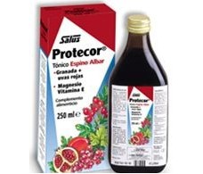 Ein Protektor 250ml Salus.