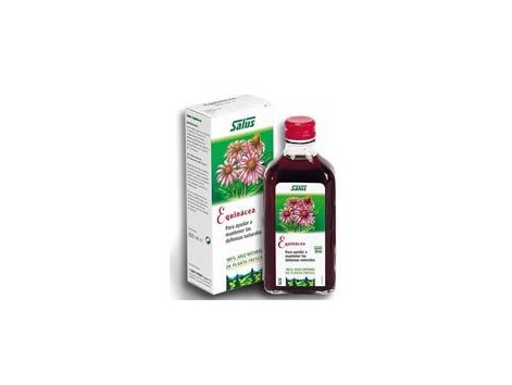 Echinacea Juice Schoenenberger 200ml. Salus.