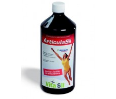Vitasil Articulasil Solución Bebible 1000 ml.
