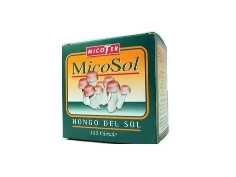 Micoter Micosol (Sun Agaricus Blazei Murril-) 120 cápsulas.