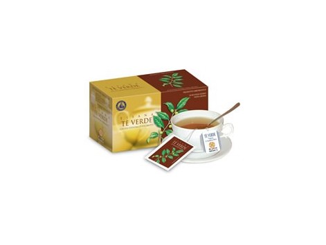 Planta Medica Herbal Tea Chá verde (Camellia Sinensis) 20 filtro