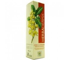 Herbaderma Crema Mahonia (Dermatitis, Psoriasis) 1