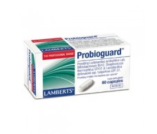 Lamberts Probioguard (probiotic supplement) 60 capsules.