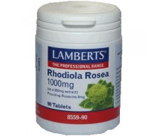 Lamberts Rhodiola Rosea (fadiga, falta de resistência) 1000mg.