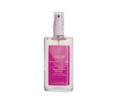 Weleda Rose Дезодорант 100ml 