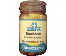 Sotya Echinacea (increases our defenses) 100 tablets.