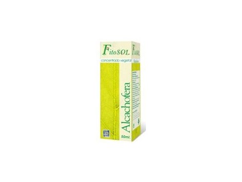 Ynsadiet Alcachofra Concentrado Plant (colesterol) 50ml.