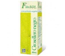 Ynsadiet Concentrado Vegetal Grosellero Negro (diuretico, antiin