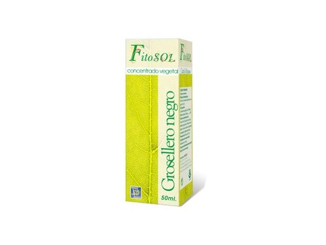 Ynsadiet Concentrado Vegetal Grosellero Negro (diuretico, antiin