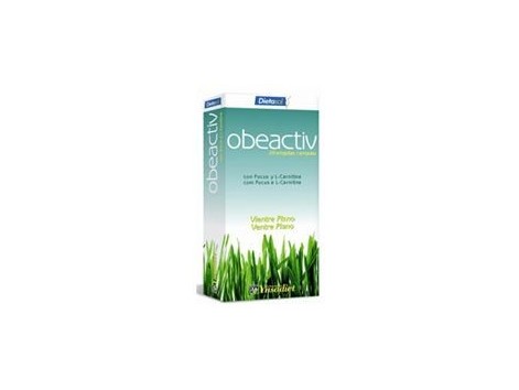Ynsadiet Obeactiv (Fucus, L - Carnitine, MK) 20 ampules. Ynsadiet Obeactiv (Fucus, L - Carnitine, MK) 20 ampules.